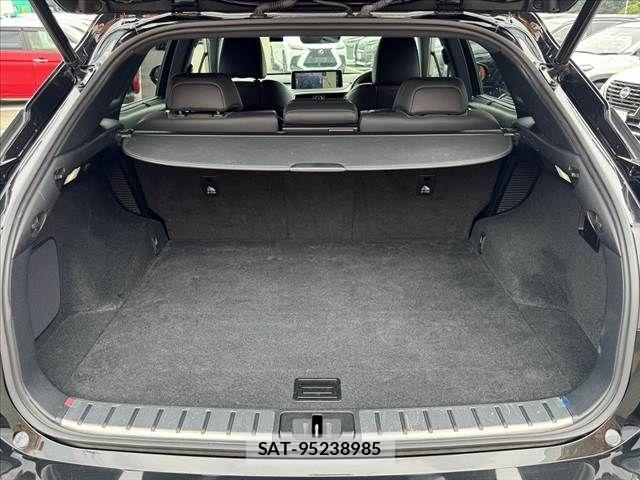 Lexus RX 2021-10 8036486-18
