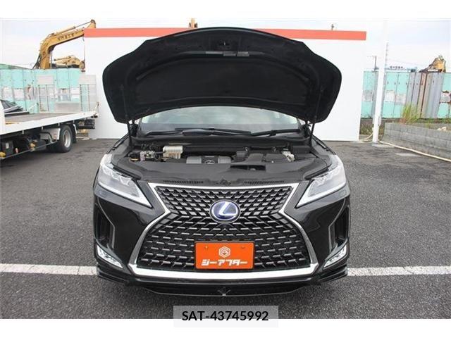 Lexus RX 2019-08 8036487-29