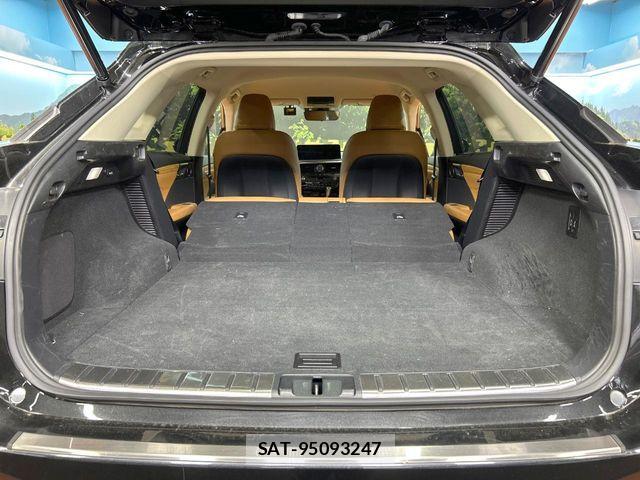 Lexus RX 2021-08 8074398-9