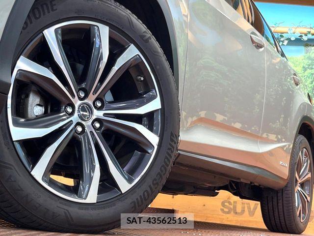 Lexus RX 2021-06 8074396-14