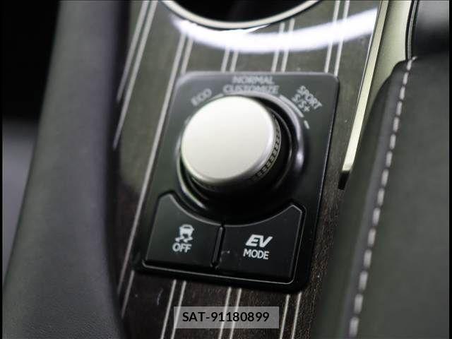 Lexus RX 2017-03 8074400-11