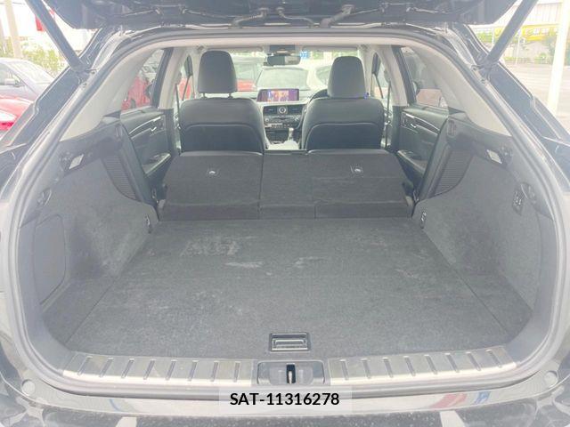 Lexus RX 2017-01 8074399-10
