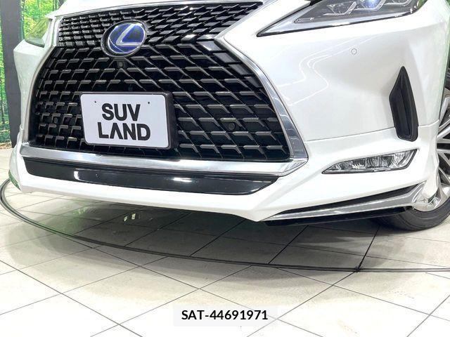 Lexus RX 2019-09 8100197-2