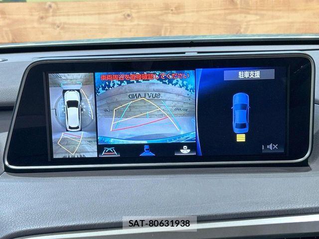 Lexus RX 2016-11 8100198-4