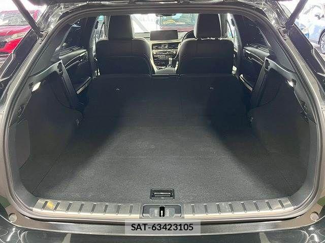 Lexus RX 2020-04 8146089-17