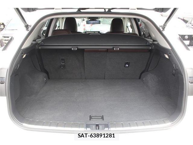 Lexus RX 2020-11 8208458-17