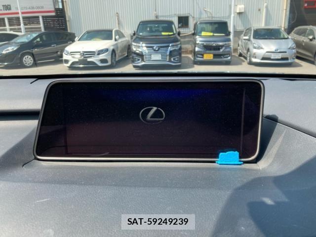 Lexus RX 2019-06 8230641-13