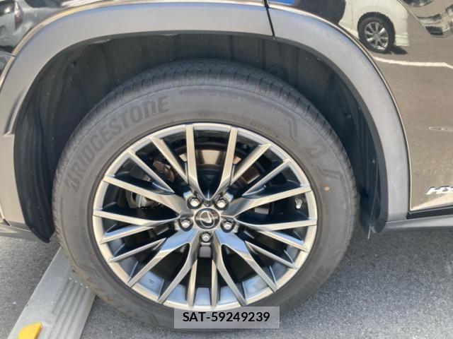 Lexus RX 2019-06 8230641-3