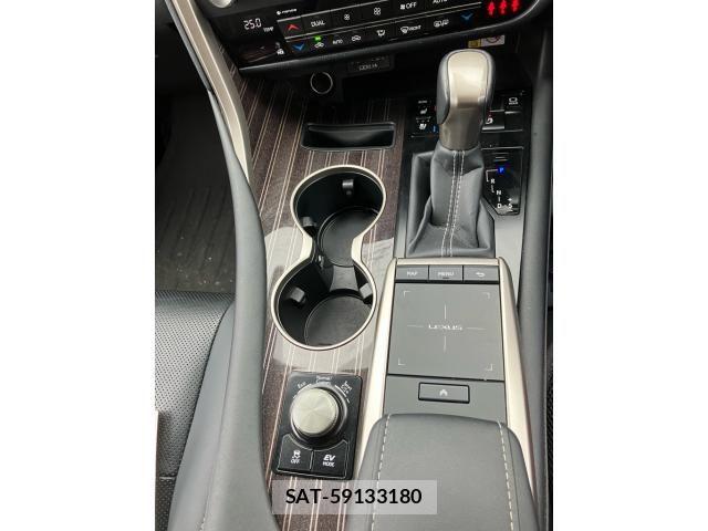 Lexus RX 2020-09 8245762-20