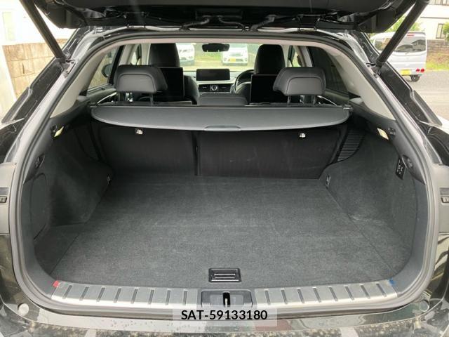 Lexus RX 2020-09 8245762-27