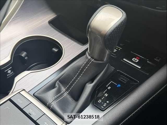 Lexus RX 2019-11 8334949-14