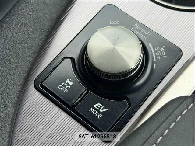 Lexus RX 2019-11 8334949-15