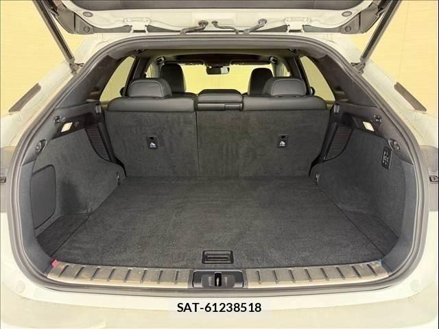 Lexus RX 2019-11 8334949-8