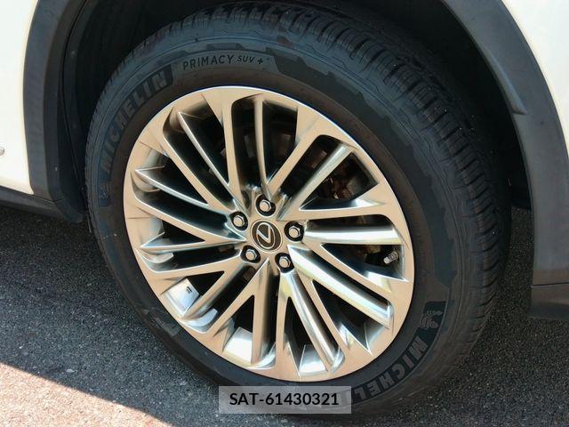 Lexus RX 2020-05 8366787-11