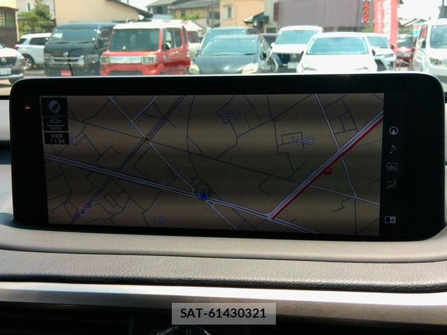 Lexus RX 2020-05 8366787-23