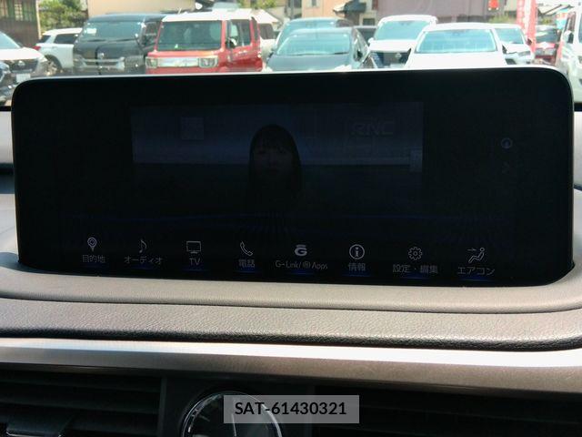 Lexus RX 2020-05 8366787-25