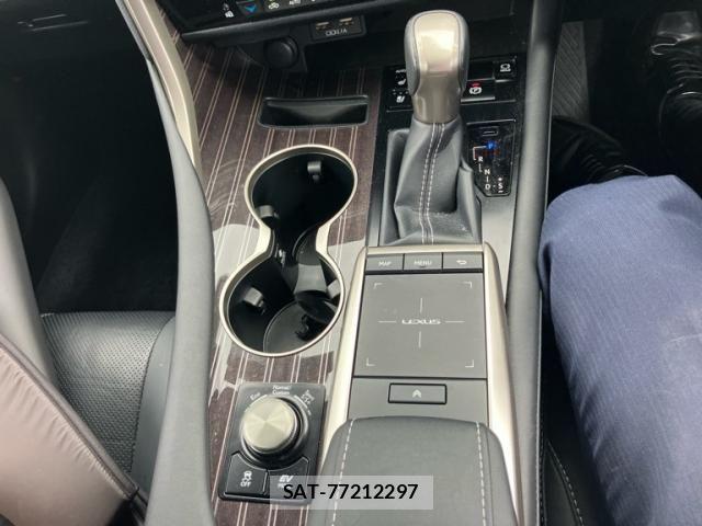 Lexus RX 2021-04 8366786-20