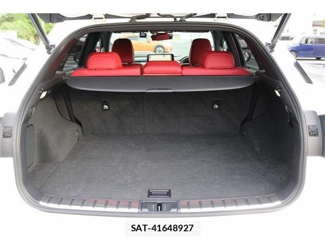 Lexus RX 2019-09 8438361-18