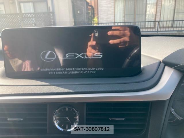 Lexus RX 2020-11 8457831-16