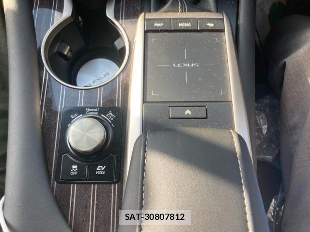 Lexus RX 2020-11 8457831-24
