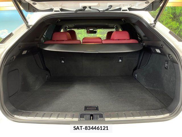 Lexus RX 2018-11 8525592-9