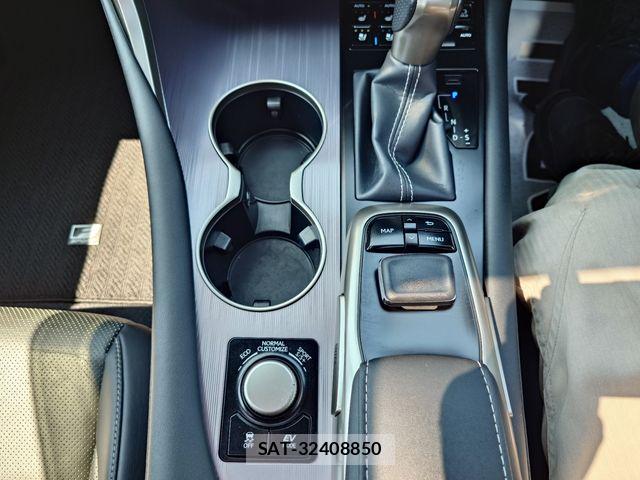 Lexus RX 2019-03 8627526-18