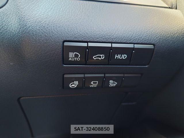 Lexus RX 2019-03 8627526-19