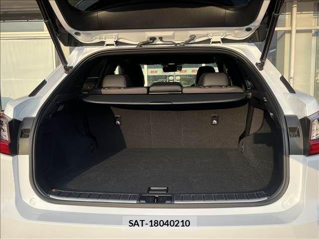 Lexus RX 2018-03 8660006-12