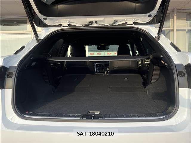 Lexus RX 2018-03 8660006-13