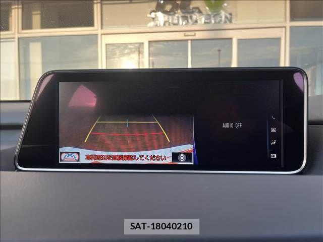 Lexus RX 2018-03 8660006-24