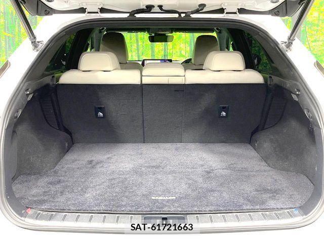 Lexus RX 2018-05 8660007-9