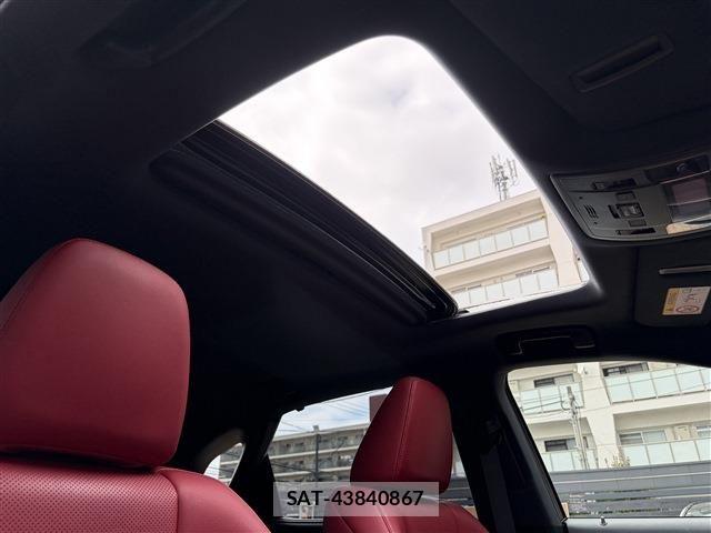 Lexus RX 2019-09 8796513-13