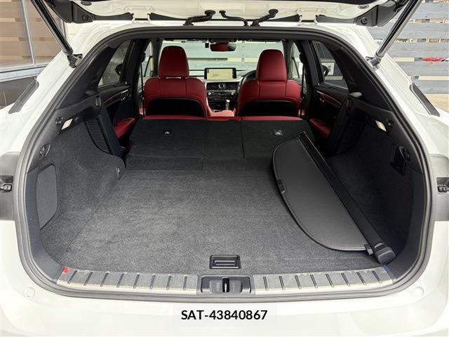 Lexus RX 2019-09 8796513-21