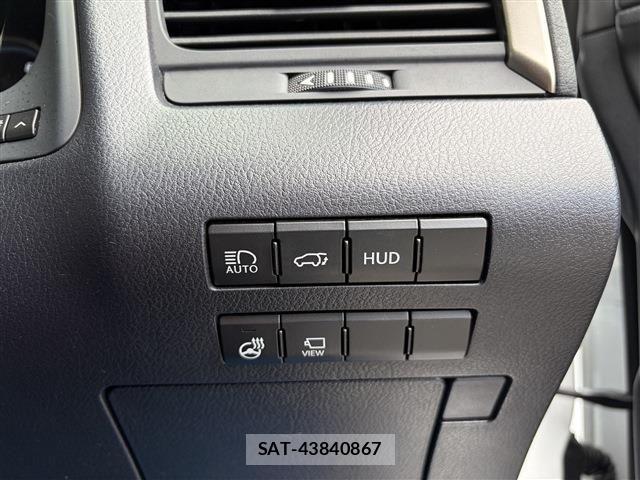 Lexus RX 2019-09 8796513-28