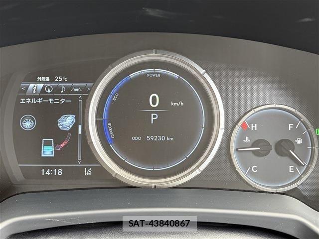 Lexus RX 2019-09 8796513-29