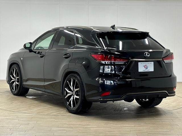 Lexus RX 2020-12 481018-16