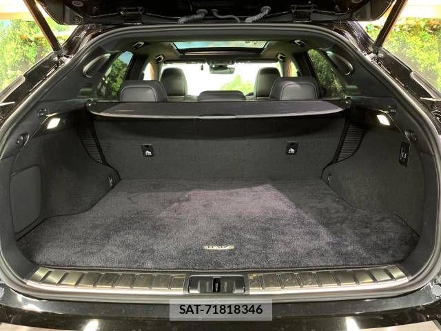 Lexus RX 2020-03 525307-13