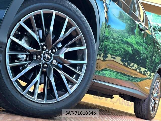 Lexus RX 2020-03 525307-15