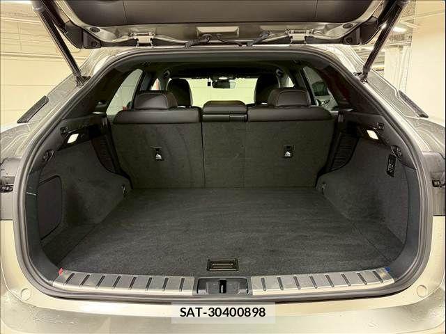 Lexus RX 2020-05 1029645-19