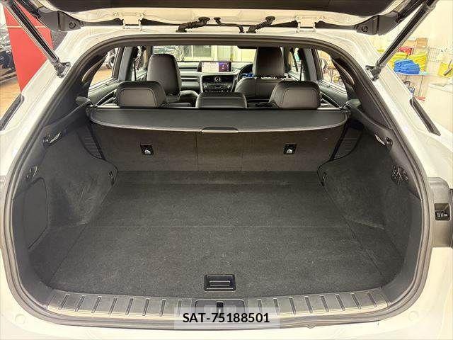 Lexus RX 2015-11 2299566-10