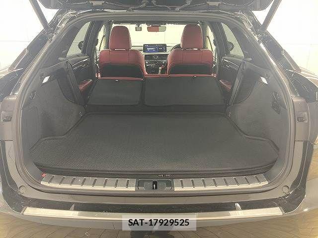Lexus RX 2021-03 2486805-12