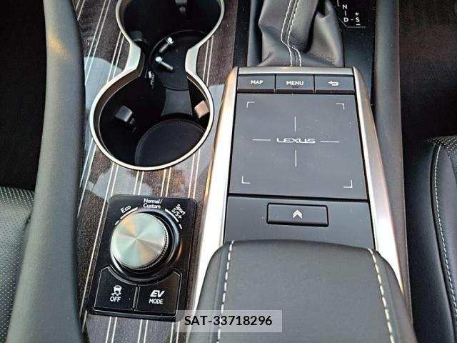 Lexus RX 2020-03 3378223-18