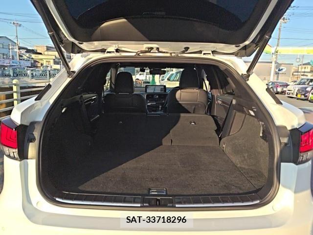 Lexus RX 2020-03 3378223-25