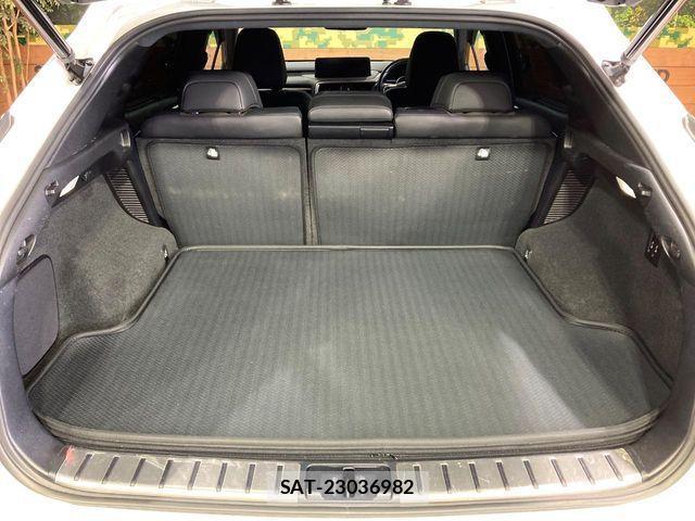 Lexus RX 2020-11 3674944-10