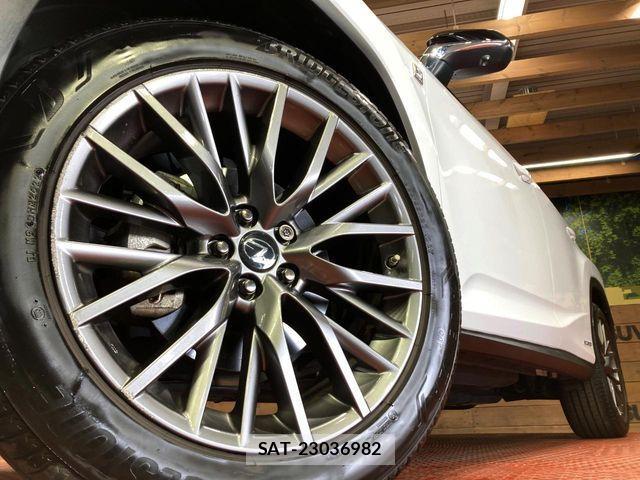 Lexus RX 2020-11 3674944-12