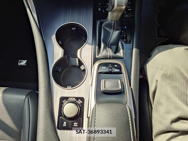 Lexus RX 2018-02 3674952-19