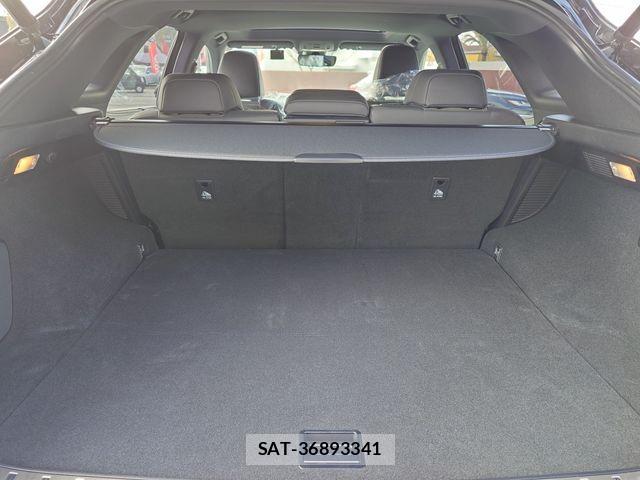 Lexus RX 2018-02 3674952-24
