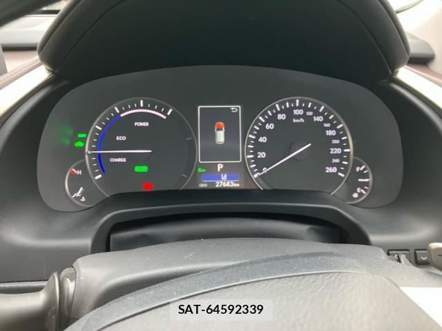 Lexus RX 2019-10 3907274-20