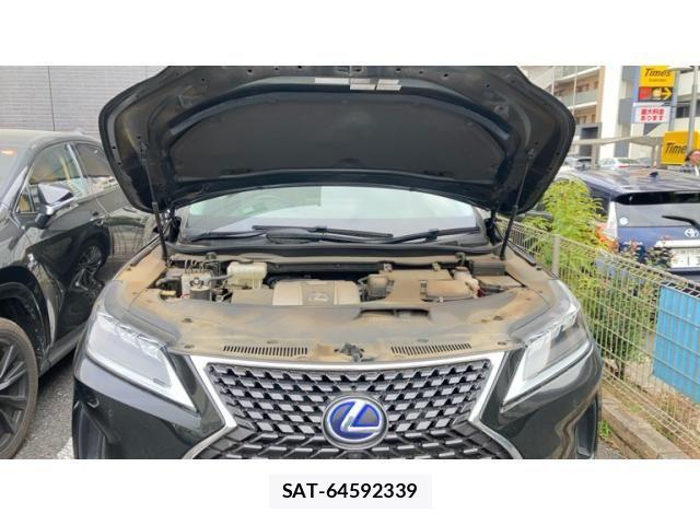 Lexus RX 2019-10 3907274-28