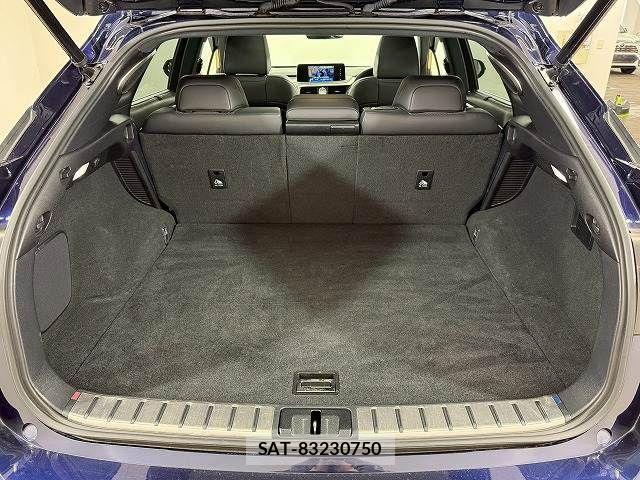 Lexus RX 2021-02 4139899-12